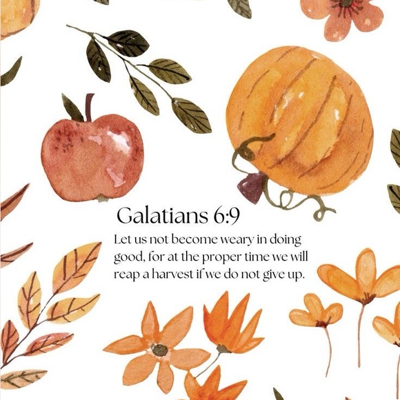 Meet your Posher, Cana - Picture 3 of 16